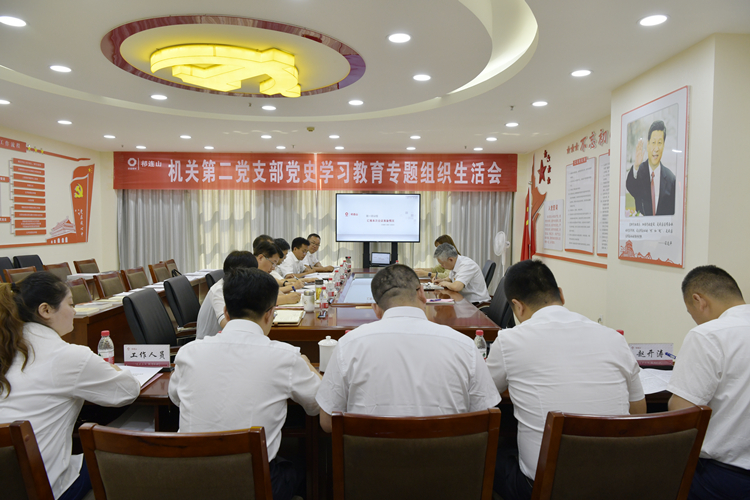 機關(guān)二支部組織生活會 (1).jpg