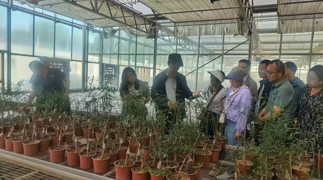 1750155775926793.jpg 園藝2.jpg