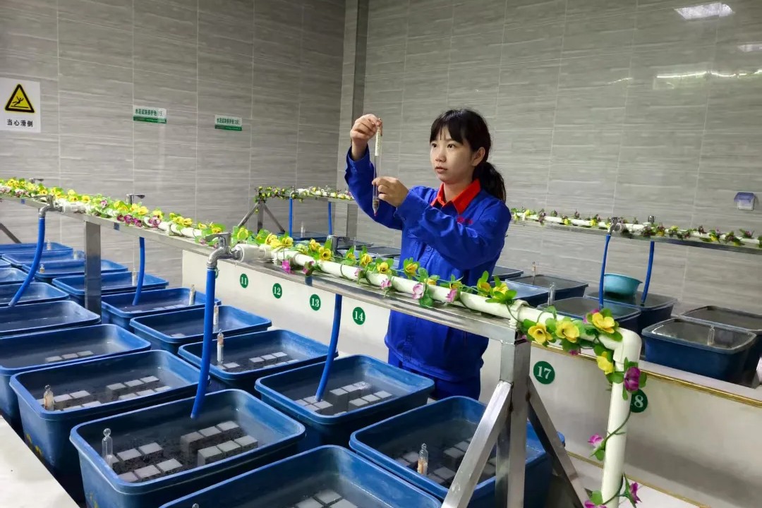 1756263430554235.jpg 紀潔2.jpg