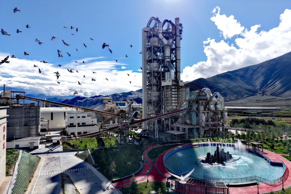 1759993780291361.jpg 7(1).jpg